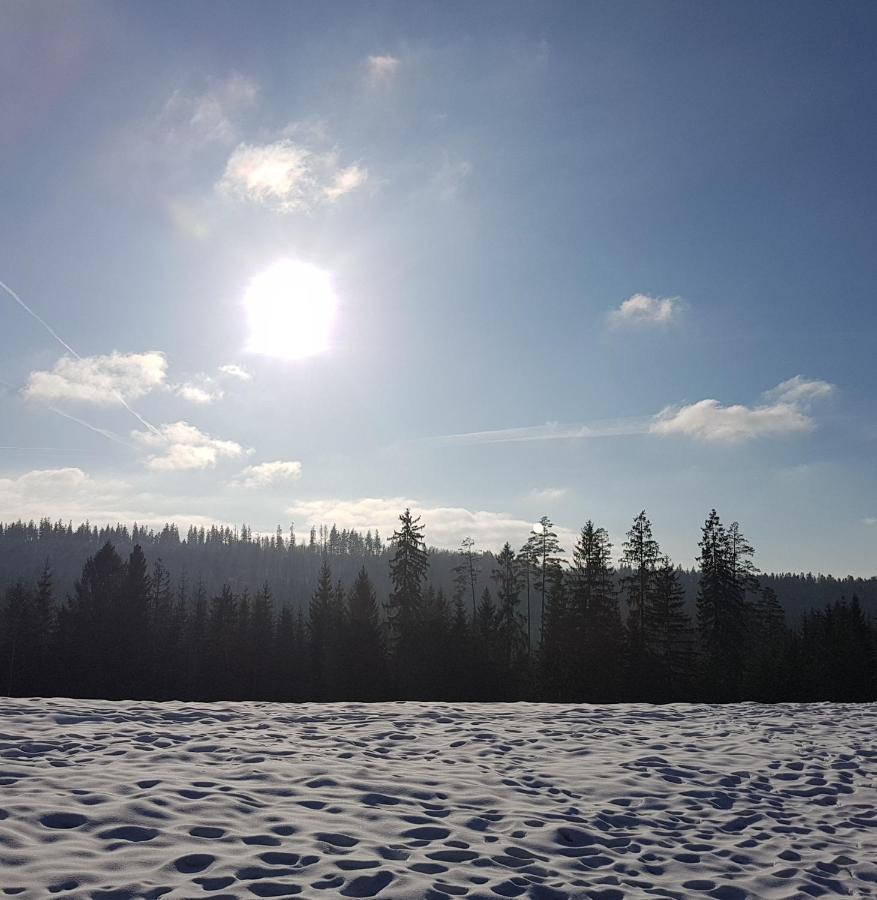 Villa Koniakowo - Dom Hunter Esterno foto