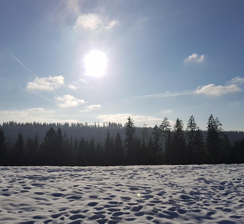 Villa Koniakowo - Dom Hunter Esterno foto