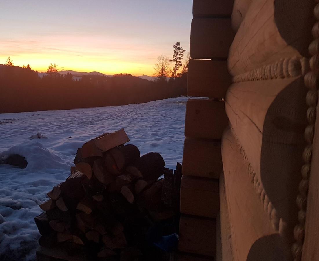 Villa Koniakowo - Dom Hunter Esterno foto